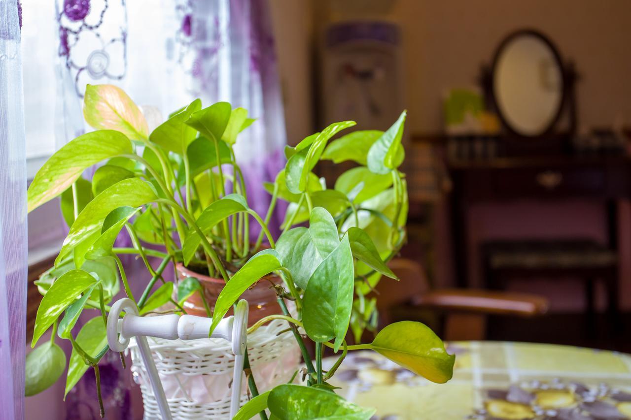 Chenyuan B&B Hualien Buitenkant foto